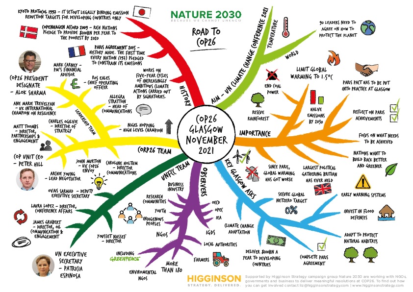 Road to COP26 - Higginson Strategy